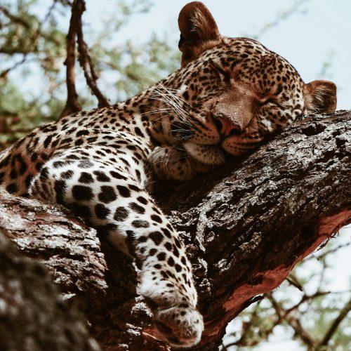 maurits-bausenhart-42Ocfqp4FAY-unsplash