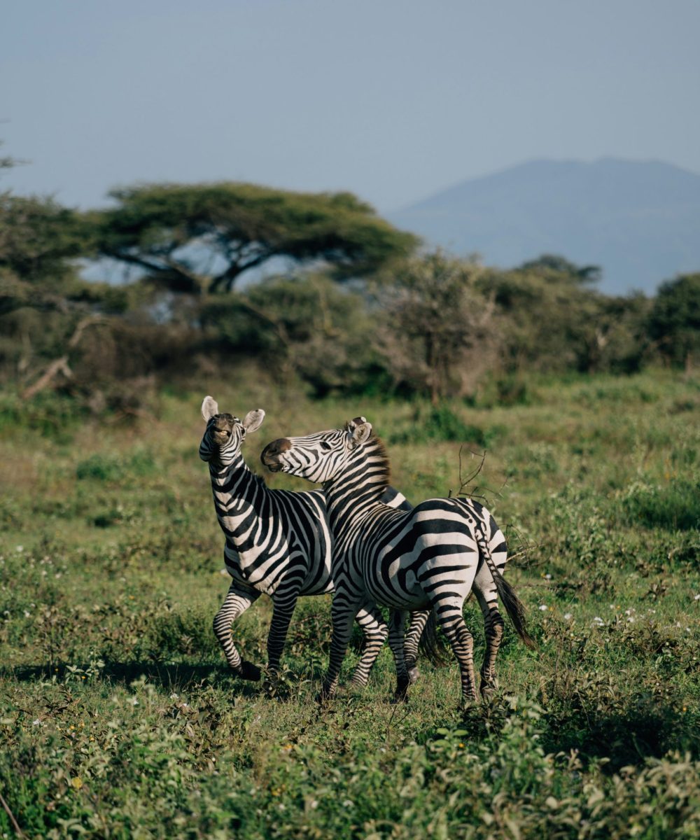 peter-thomas-JlgUWEt_frw-unsplash